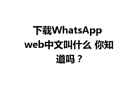 下载WhatsApp web中文叫什么 你知道吗？