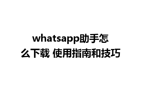 whatsapp助手怎么下载 使用指南和技巧