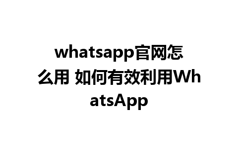 whatsapp官网怎么用 如何有效利用WhatsApp