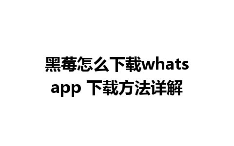 黑莓怎么下载whatsapp 下载方法详解