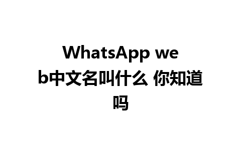 WhatsApp web中文名叫什么 你知道吗