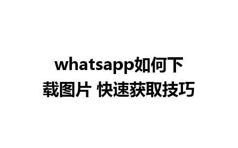 whatsapp如何下载图片 快速获取技巧