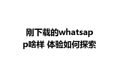 刚下载的whatsapp啥样 体验如何探索