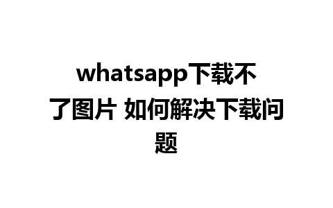 whatsapp下载不了图片 如何解决下载问题