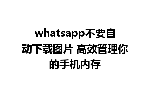 whatsapp不要自动下载图片 高效管理你的手机内存