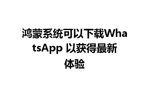 鸿蒙系统可以下载WhatsApp 以获得最新体验