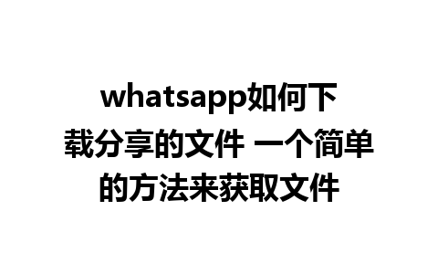 whatsapp如何下载分享的文件 一个简单的方法来获取文件