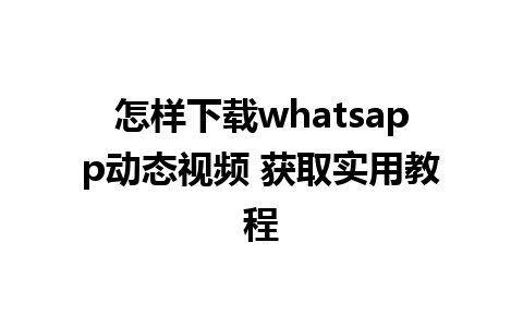 怎样下载whatsapp动态视频 获取实用教程