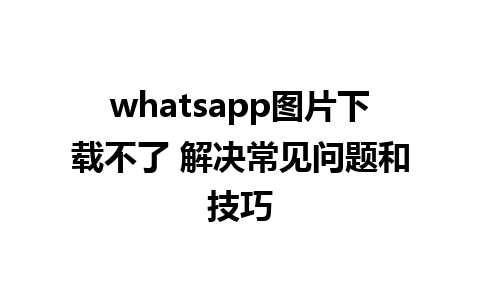 whatsapp图片下载不了 解决常见问题和技巧