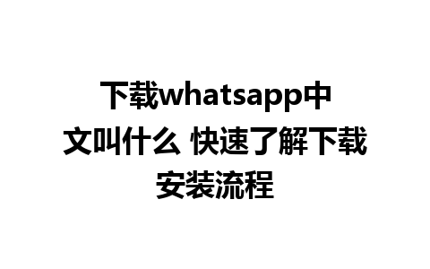 下载whatsapp中文叫什么 快速了解下载安装流程