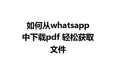 如何从whatsapp中下载pdf 轻松获取文件