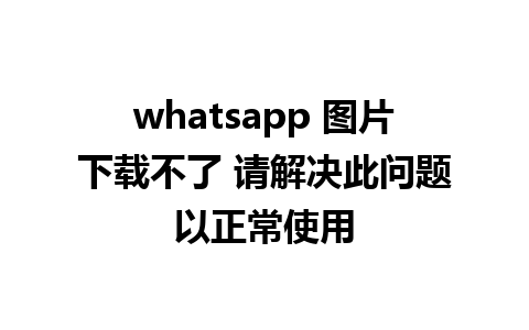 whatsapp 图片下载不了 请解决此问题以正常使用