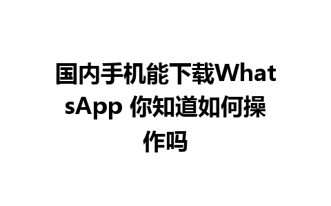 国内手机能下载WhatsApp 你知道如何操作吗