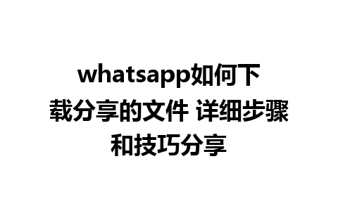 whatsapp如何下载分享的文件 详细步骤和技巧分享