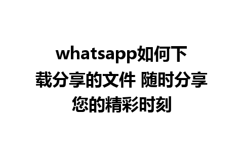 whatsapp如何下载分享的文件 随时分享您的精彩时刻