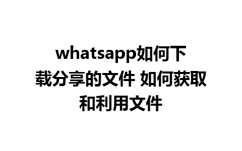 whatsapp如何下载分享的文件 如何获取和利用文件