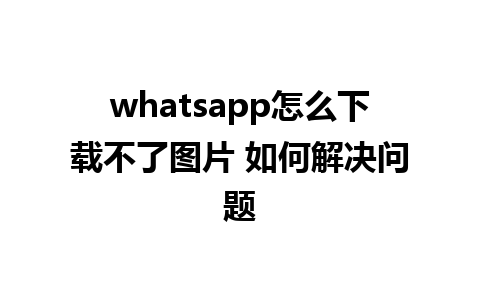 whatsapp怎么下载不了图片 如何解决问题