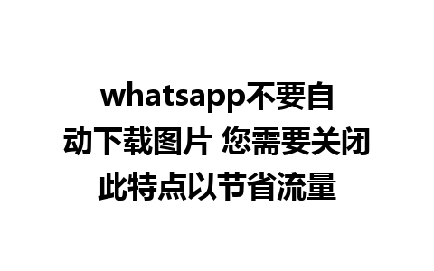 whatsapp不要自动下载图片 您需要关闭此特点以节省流量