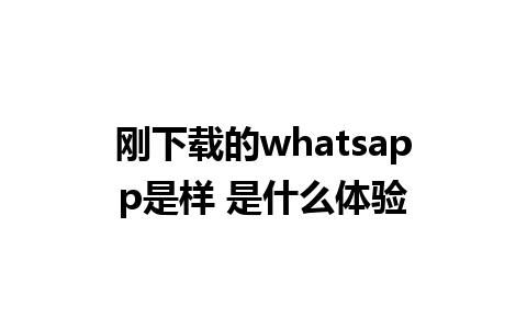 刚下载的whatsapp是样 是什么体验