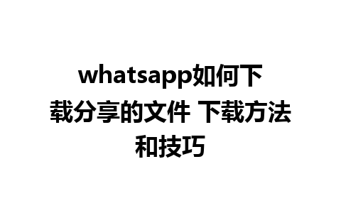 whatsapp如何下载分享的文件 下载方法和技巧