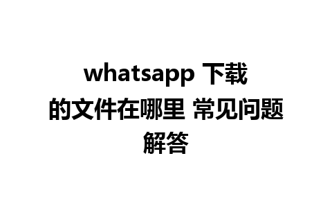 whatsapp 下载的文件在哪里 常见问题解答