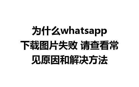 为什么whatsapp下载图片失败 请查看常见原因和解决方法