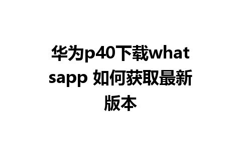 华为p40下载whatsapp 如何获取最新版本