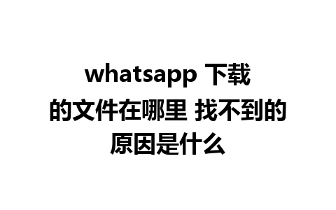 whatsapp 下载的文件在哪里 找不到的原因是什么