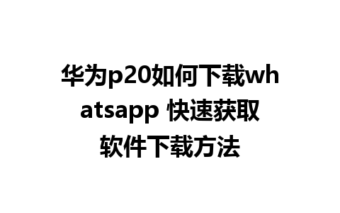 华为p20如何下载whatsapp 快速获取软件下载方法