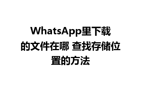 WhatsApp里下载的文件在哪 查找存储位置的方法