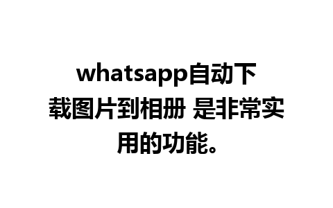 whatsapp自动下载图片到相册 是非常实用的功能。