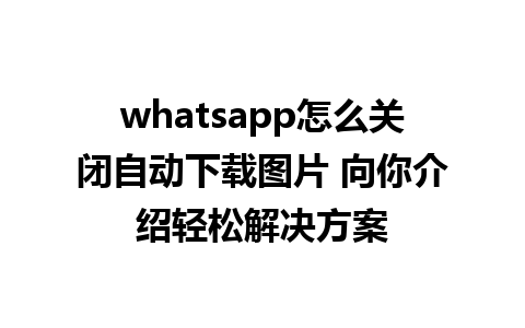 whatsapp怎么关闭自动下载图片 向你介绍轻松解决方案