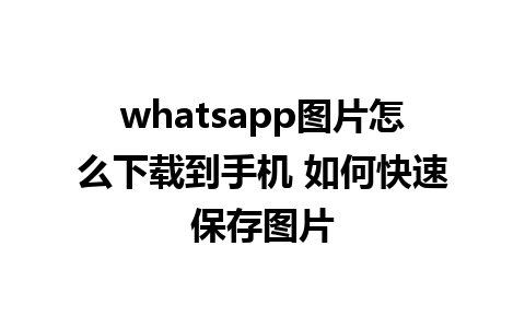 whatsapp图片怎么下载到手机 如何快速保存图片