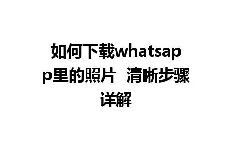 如何下载whatsapp里的照片  清晰步骤详解