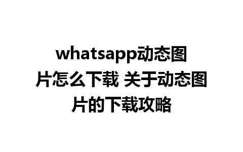 whatsapp动态图片怎么下载 关于动态图片的下载攻略