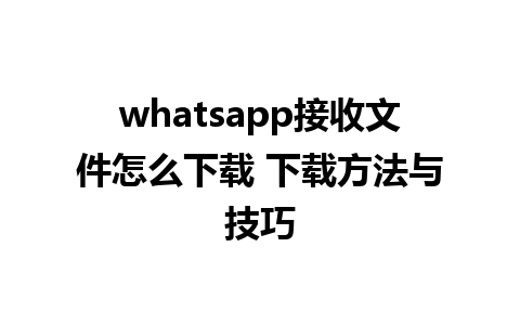 whatsapp接收文件怎么下载 下载方法与技巧