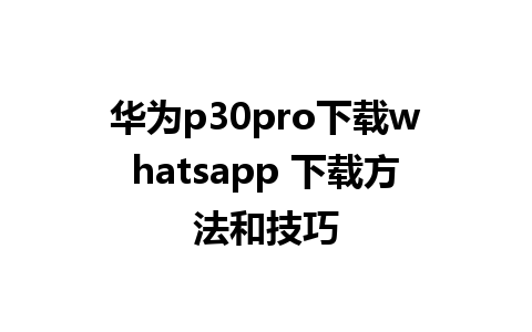 华为p30pro下载whatsapp 下载方法和技巧