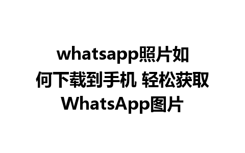 whatsapp照片如何下载到手机 轻松获取WhatsApp图片