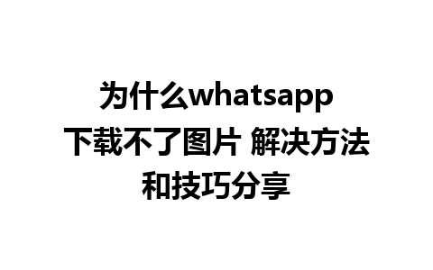 为什么whatsapp下载不了图片 解决方法和技巧分享